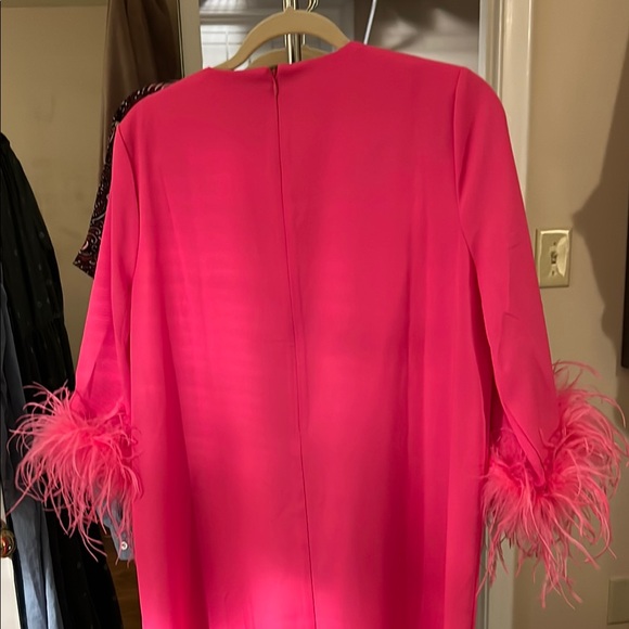 Tuckernuck Hot Pink Feather Jamie Dress - Picture 6 of 7